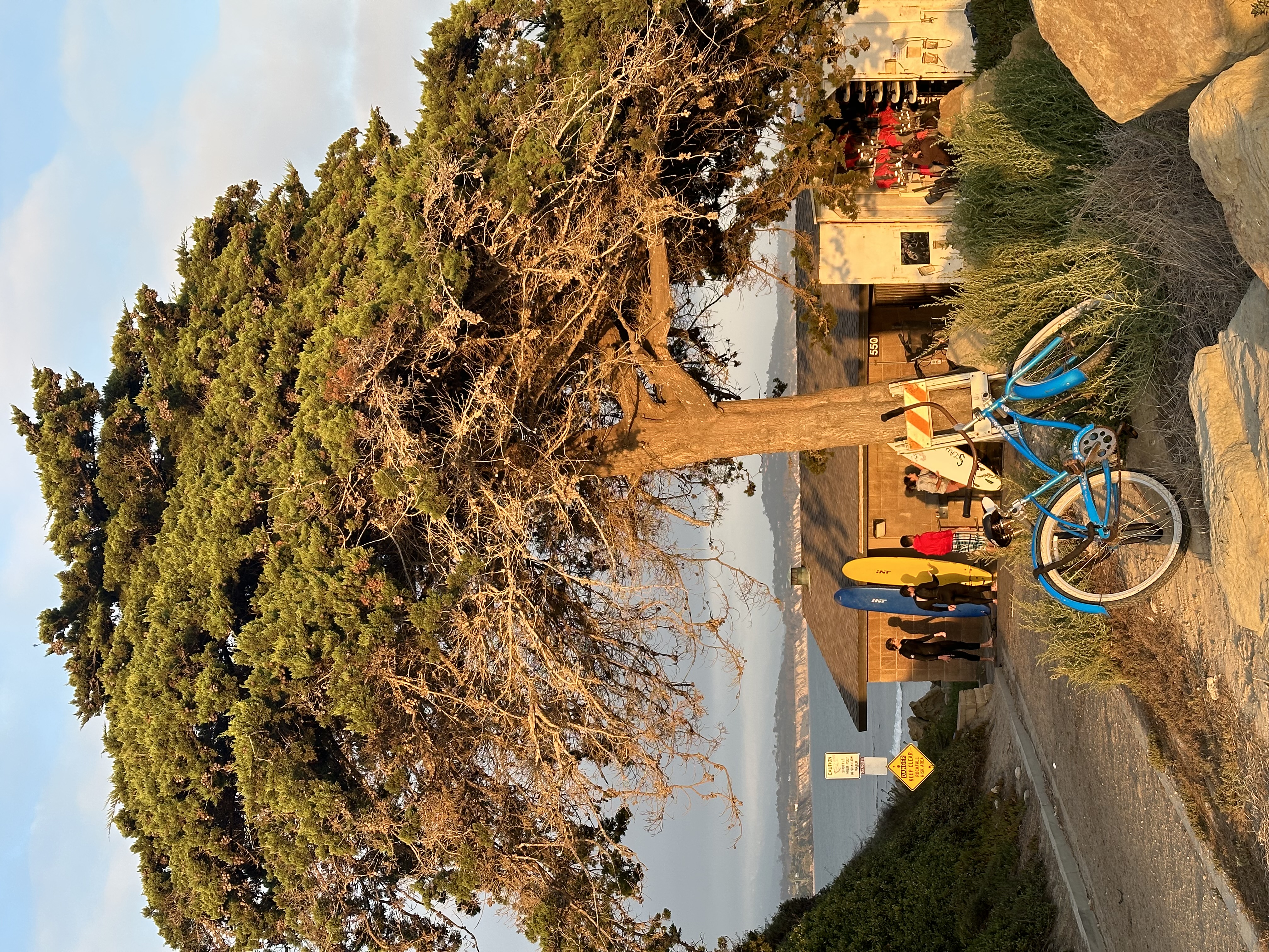 Image of UCSB surf shack